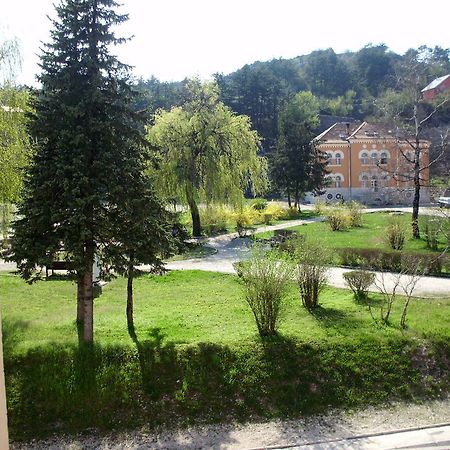 Apartments Bokan Cetinje Rum bild