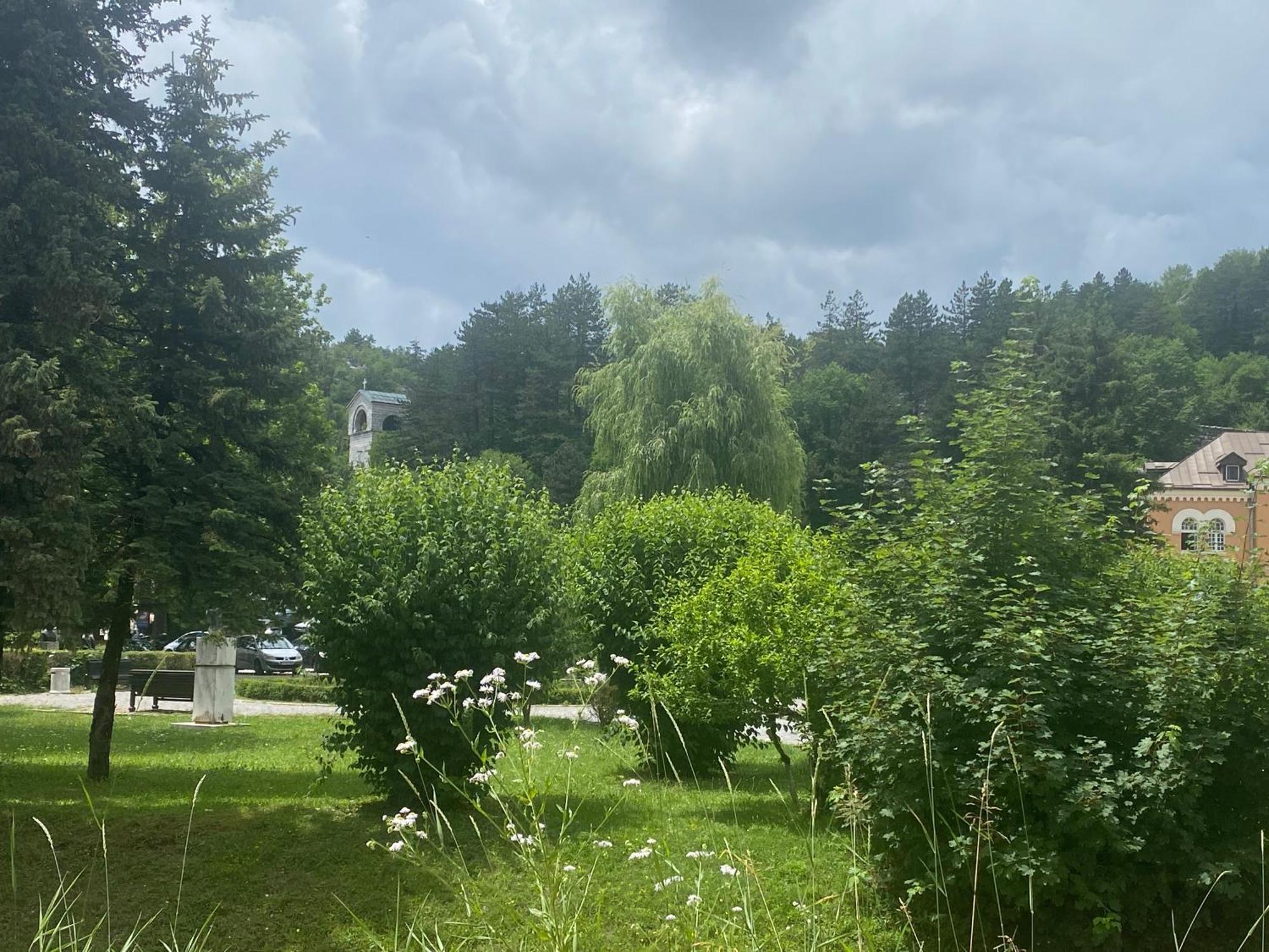 Apartments Bokan Cetinje Exteriör bild